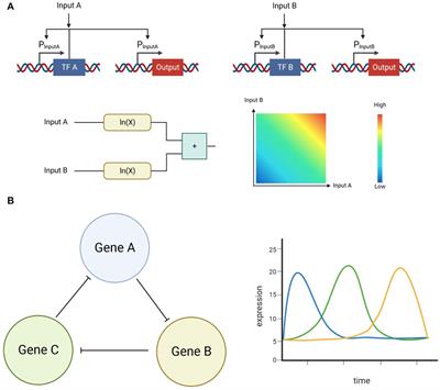 Intelligent computation in cancer gene therapy